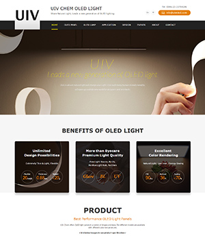 照明外貿網(wǎng)站案例展示